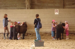 Accueil des scolaires au centre equestre